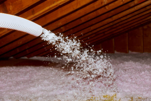 Best Geographic-Specific Insulation Services in Gloucester Courthouse, VA